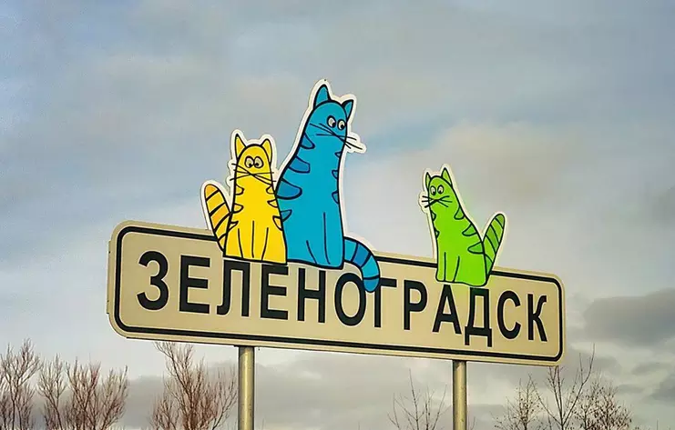 Аренда arenda-avto-zelenogradsk-1