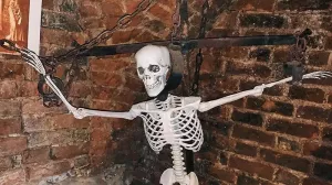 От Замка Шаакен к Нойхаузену: Прусские Корни