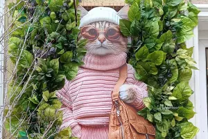 Кот с сумкой в центре Зеленоградска